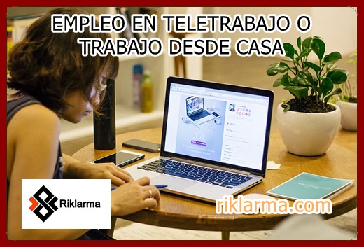 empleo en teletrabajo o desde casa