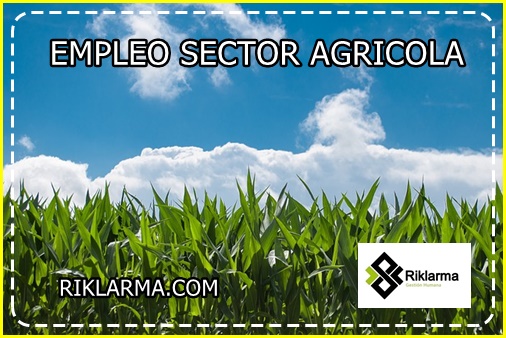 empleo en el sector agricola