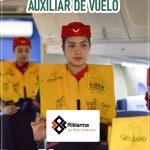 Empleo para Auxiliar de Vuelo 10