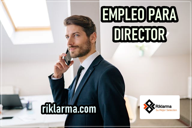 EMPLEO PARA DIRECTOR DE NEGOCIOS HIBRIDO