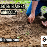 EMPLEO PARA AGRONOMO EN CALI Empleo para Agronomo